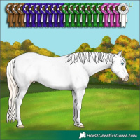 Horse Color:White Spotted Perlino Dun Blanket 