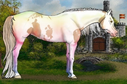 Horse Color:White Spotted Chestnut Pearl Splash Tobiano