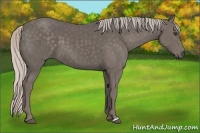 Horse Color:Silver Black 