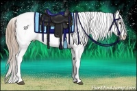 Horse Color:Liver Red Dun Ice Appaloosa 