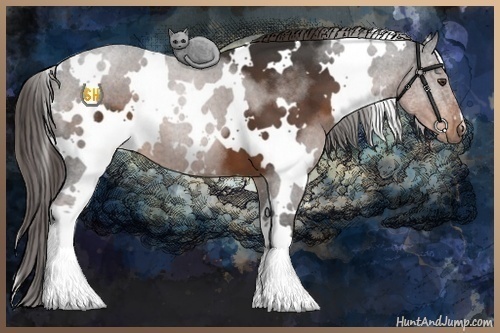 Horse Color:White Spotted Liver Chestnut 