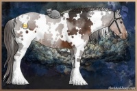 Horse Color:White Spotted Liver Chestnut 