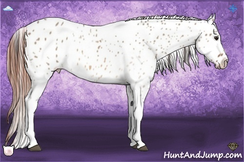Horse Color:Bay Roan Dun Tobiano Leopard 