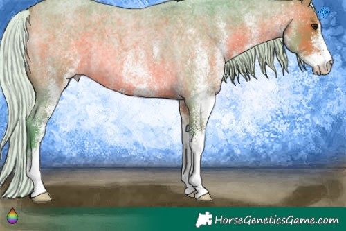 Horse Color:Watercolor White Spotted Silver Brown Roan Rabicano