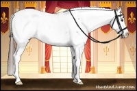 Horse Color:Liver Chestnut Sabino Splash Blanket