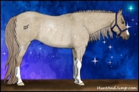 Horse Color:Chocolate Palomino Roan Dun Rabicano