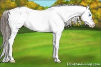 Horse Color:Grullo Ice Roan Splash Frame Varnish Rabicano