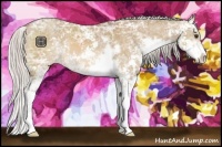 Horse Color:Silver Bay Ice Dun Sabino 