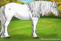 Horse Color:Silver Blue Roan Splash Varnish 