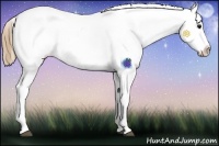 Horse Color:Smoky Blue Roan Sabino Varnish Rabicano 