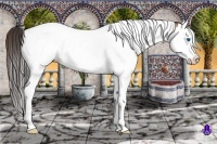 Horse Color:Amber Champagne Splash Tobiano 