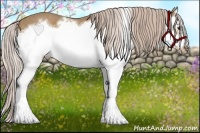 Horse Color:White Spotted Palomino Splash Frame 