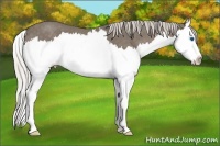Horse Color:Silver Smoky Blue Roan Sabino Splash