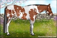 Horse Color:White Spotted Bay Tobiano Rabicano