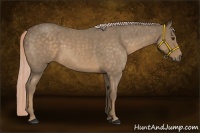 Horse Color:Chocolate Palomino Roan