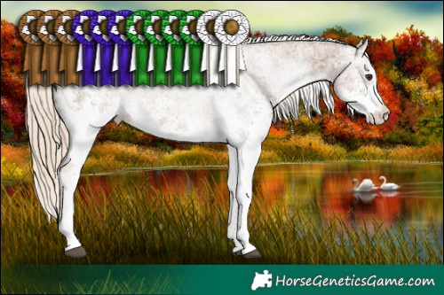 Horse Color:White Spotted Chocolate Palomino