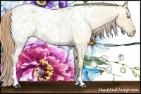 Horse Color:Amber Cream Champagne Roan Dun Near Leopard 