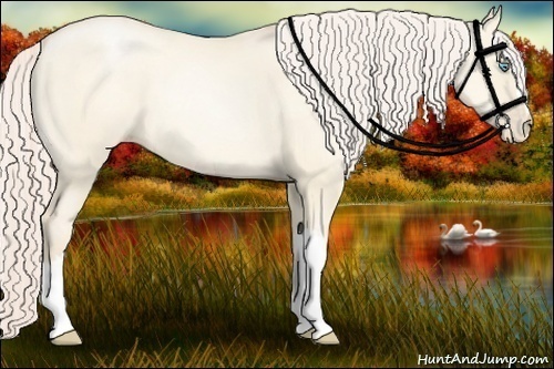 Horse Color:Gold Cream Champagne Pearl Dun 