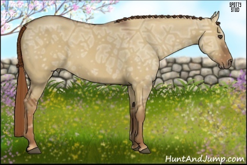 Horse Color:Red Dun Ice 