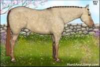 Horse Color:Red Dun Ice 
