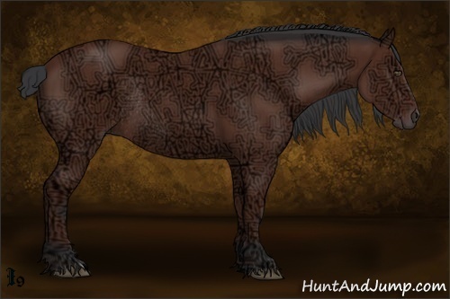 Horse Color:Bay Ice Rabicano 