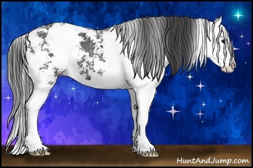 Horse Color:Smoky Black Sabino Splash