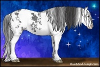 Horse Color:Smoky Black Sabino Splash 
