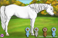 Horse Color:Gray Grullo