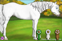 Horse Color:Gray Grullo Splash Appaloosa 