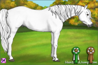Horse Color:Gray Grullo 