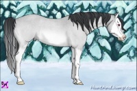 Horse Color:Bay Chinchilla Roan Splash 