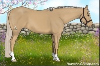 Horse Color:Palomino 