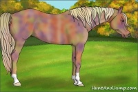 Horse Color:Nacre Chestnut 