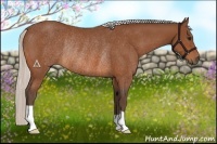 Horse Color:Silver Bay Rabicano 