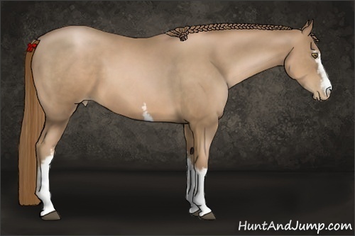 Horse Color:White Spotted Liver Chestnut Pearl 