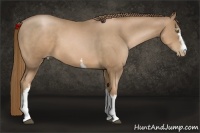 Horse Color:White Spotted Liver Chestnut Pearl