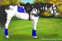 Horse Color:Brown Splash Frame 