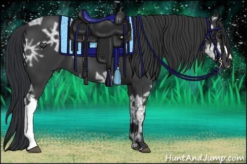 Horse Color:Black Ice 