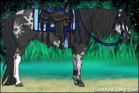 Horse Color:Black Ice 