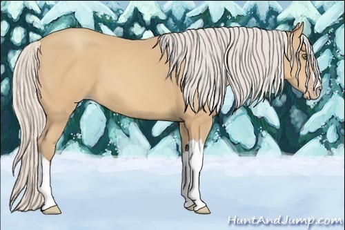 Horse Color:Silver Sable Champagne