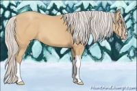 Horse Color:Silver Sable Champagne