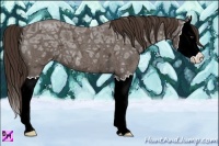 Horse Color:Liver Red Ice Roan Splash