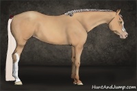 Horse Color:Silver Sable Champagne