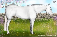 Horse Color:Chocolate Palomino Blanket