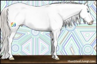 Horse Color:Chocolate Palomino Pearl Blanket