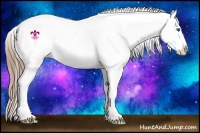 Horse Color:Black Splash Appaloosa 