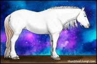 Horse Color:White Spotted Grullo Splash Tobiano Varnish