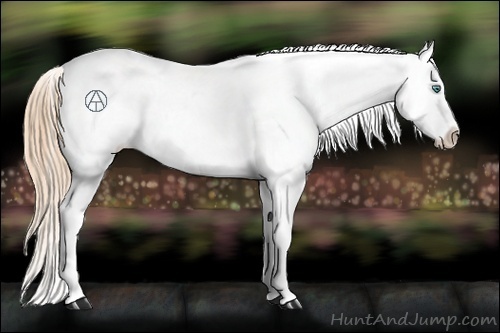 Horse Color:Smoky Black Pearl Appaloosa