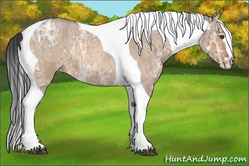 Horse Color:Bay Ice Roan Dun Splash Tobiano Frame 