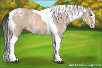 Horse Color:Bay Ice Roan Dun Splash Tobiano Frame 